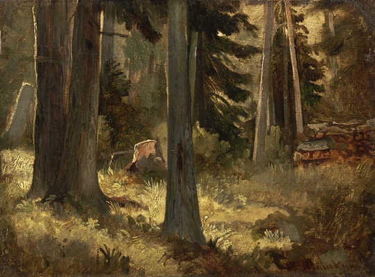 Шишкин Иван Иванович. Лесная поляна